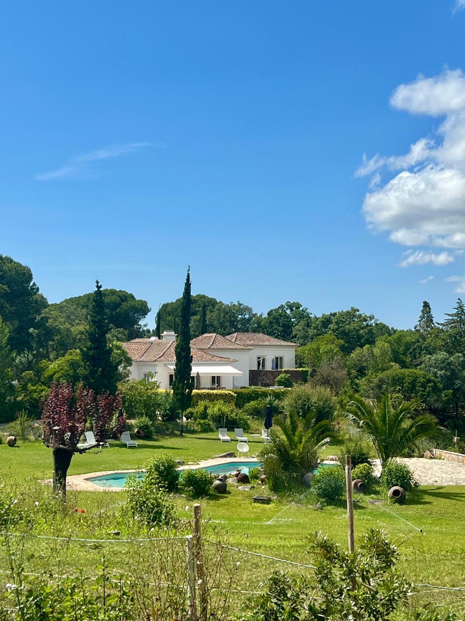 Quinta Da Arrabida Villa เซซิมบรา ภายนอก รูปภาพ